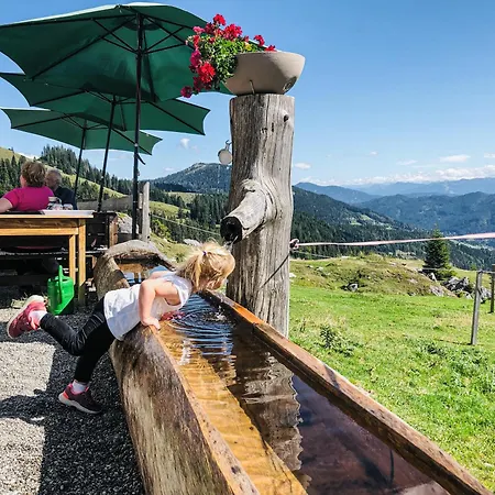 Hotel-restaurant Bike&snow Lederer 3* Mühlbach am Hochkönig