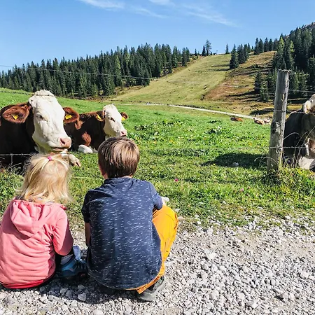 Gæstehus Hotel-restaurant Bike&snow Lederer 3*