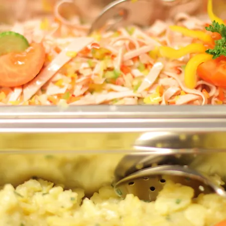 Hotel-restaurant Bike&snow Lederer Gæstehus Mühlbach am Hochkönig