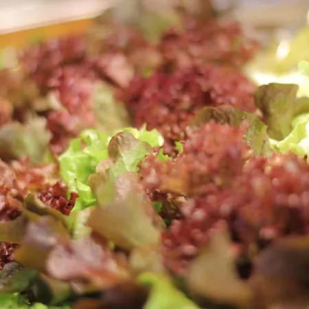 Hotel-restaurant Bike&snow Lederer