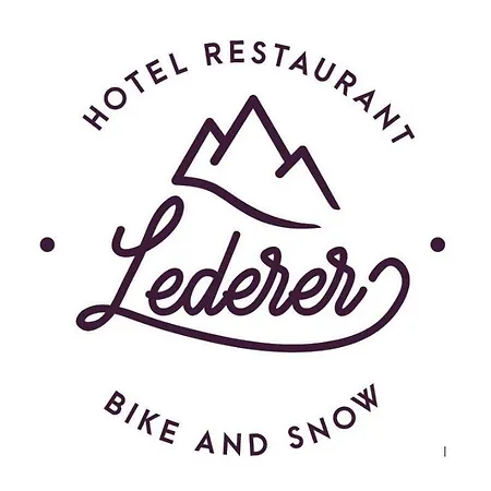 Gæstehus Hotel-restaurant Bike&snow Lederer Mühlbach am Hochkönig